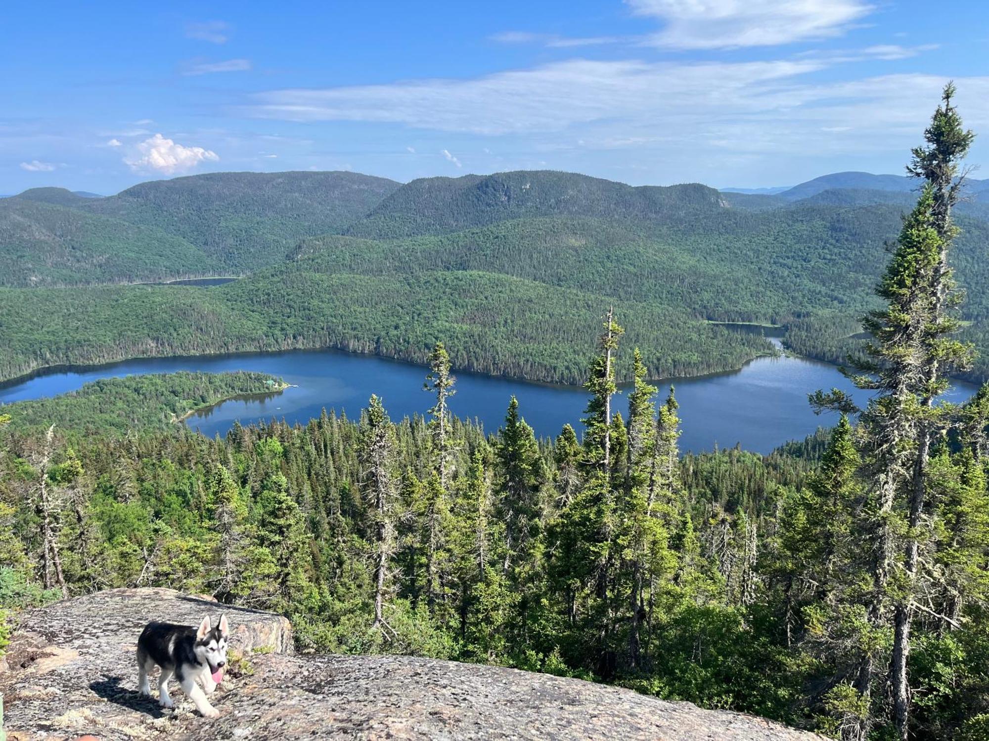 Auberge Boreale De Charlevoix Petit-Saguenay Εξωτερικό φωτογραφία